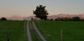 like home Dürnten